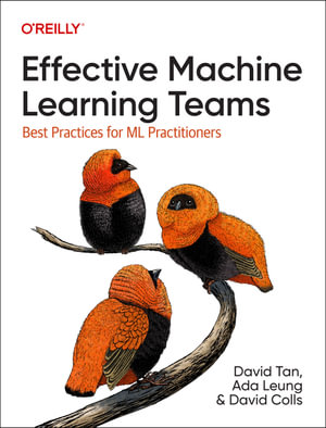 Effective Machine Learning Teams : Best Practices for ML Practitioners - David Tan