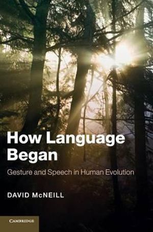 How Language Began : Gesture and Speech in Human Evolution - David McNeill