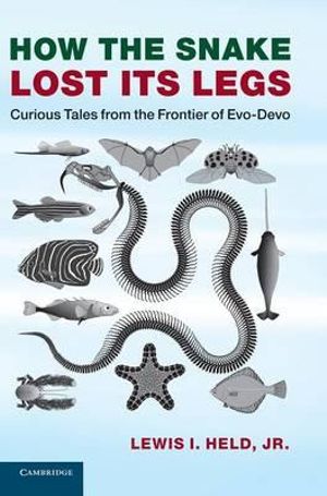 How the Snake Lost Its Legs : Curious Tales from the Frontier of Evo-Devo - Lewis Held