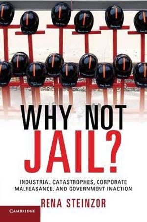 Why Not Jail? : Industrial Catastrophes, Corporate Malfeasance, and Government Inaction - Rena Steinzor