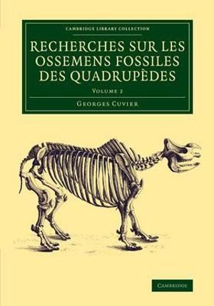 Recherches sur les ossemens fossiles des quadrup¨des - Volume             2 : Recherches sur les ossemens fossiles des quadrupedes 4 Volume Set - Georges Cuvier