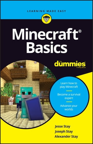 Minecraft Basics For Dummies - Jesse Stay