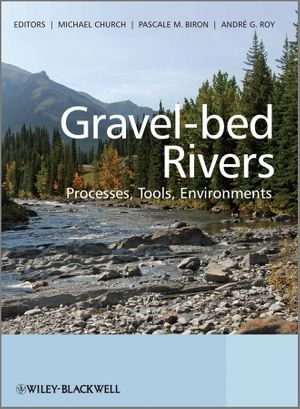 Gravel Bed Rivers : Processes, Tools, Environments - Michael Church