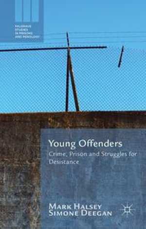 Young Offenders : Crime, Prison and Struggles for Desistance - M. Halsey