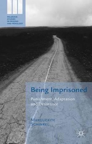 Being Imprisoned : Punishment, Adaptation and Desistance - Marguerite Schinkel