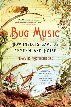 Bug Music : How Insects Gave Us Rhythm and Noise - David Rothenberg