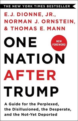 One Nation After Trump : A Guide for the Perplexed, the Disillusioned, the Desperate, and the Not-Yet Deported - E. J. Dionne Jr.