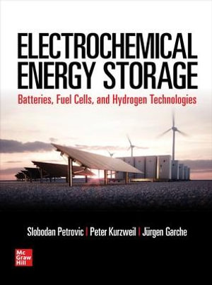 Electrochemical Energy Storage - Slobodan Petrovic