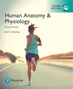 Human Anatomy & Physiology By Erin C. Amerman | Global 2nd Edition ...