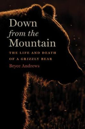 Down from the Mountain : The Life and Death of a Grizzly Bear - Bryce Andrews