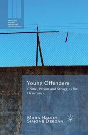 Young Offenders : Crime, Prison and Struggles for Desistance - M. Halsey