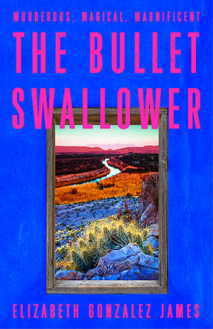 The Bullet Swallower - Elizabeth Gonzalez James