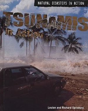 Tsunamis in Action : Natural Disasters in Action - Louise A Spilsbury