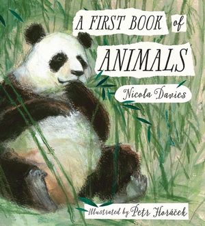 A First Book of Animals - Nicola Davies