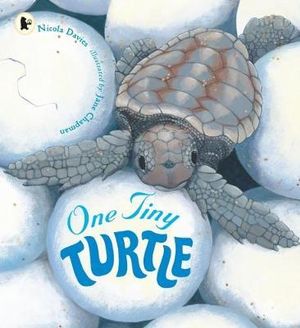 One Tiny Turtle : Nature Storybooks - Nicola Davies