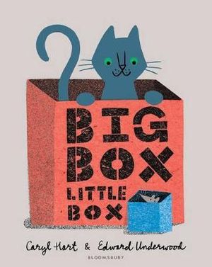 Big Box Little Box - Caryl Hart