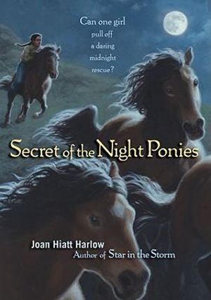 Secret of the Night Ponies - Harlow Joan Hiatt