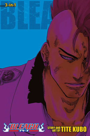 Bleach (3-in-1 Edition), Vol. 23 : Includes vols. 67, 68 & 69 - Tite Kubo