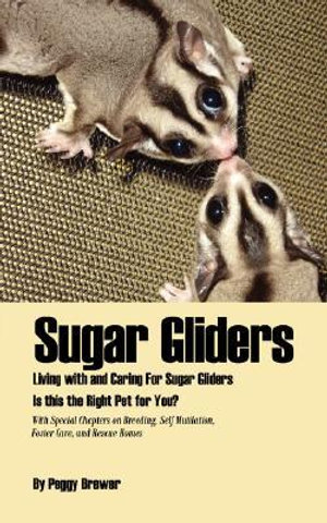 Sugar Gliders : Living with and Caring for Sugar Gliders Is This the Right Pet for You? - Peggy Brewer