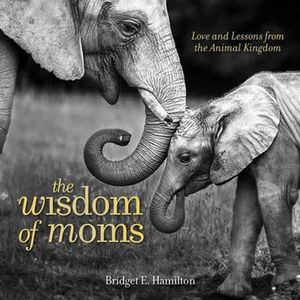 The Wisdom of Moms : Love and Lessons From the Animal Kingdom - Bridget Hamilton