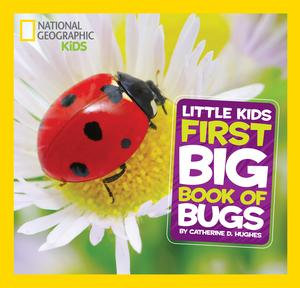 National Geographic Little Kids First Big Book of Bugs : Little Kids First Big Books - Catherine D. Hughes