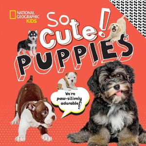 So Cute! Puppies : So Cute! - Crispin Boyer
