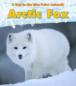 Arctic Fox : Day in the Life: Polar Animals - Katie Marsico