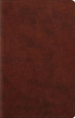 ESV Large Print Personal Size Bible - Crossway Bibles