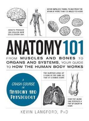 Anatomy 101 : From Muscles and Bones to Organs and Systems, Your Guide to How the Human Body Works - Kevin Langford