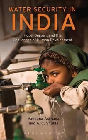 Water Security in India : Hope, Despair, and the Challenges of Human Development - Vandana Asthana