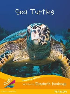 Sea Turtles : Sails Additional Fluency - Orange - Elizabeth Hookings