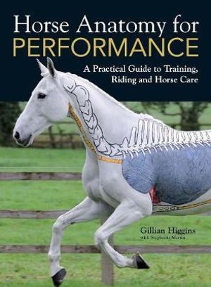 Horse Anatomy for Performance : A Practical Guide to Training, Riding and Horse Care - GILLIAN HIGGINS