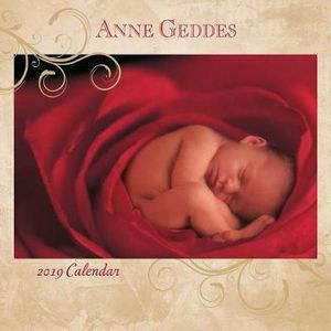 Anne Geddes 2019 Square Wall Calendar : 2019 Wall Calendar - Anne Geddes