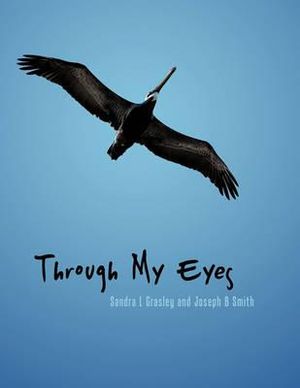 Through My Eyes - Sandra L Grasley