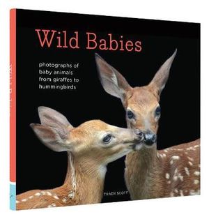 Wild Babies : Photographs of Animals in Their First Weeks of Life - Traer Scott