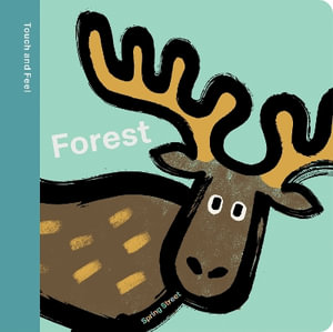 Spring Street Touch and Feel : Forest - Boxer Books