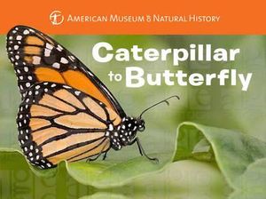 Caterpillar to Butterfly : Science for Toddlers - Melissa Stewart