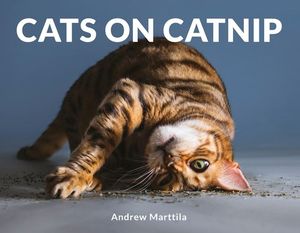 Cats on Catnip - Andrew Marttila