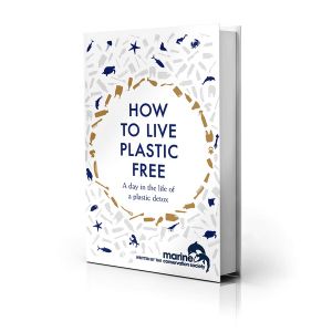 How to Live Plastic Free : A Day In The Life Of A Plastic Detox - Luca Bonaccorsi