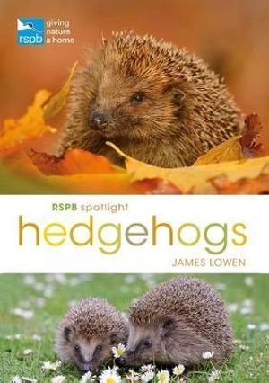 RSPB Spotlight Hedgehogs : RSPB - James Lowen