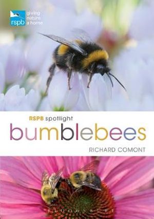 RSPB Spotlight Bumblebees : RSPB - Richard Comont