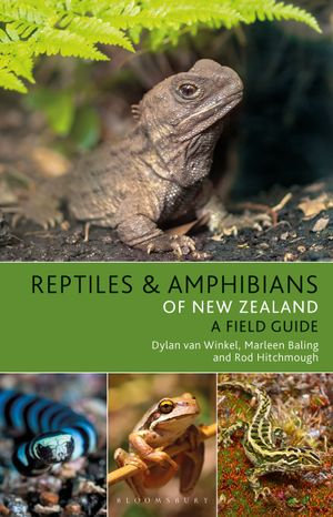 Reptiles and Amphibians of New Zealand : Bloomsbury Naturalist - Dylan van Winkel