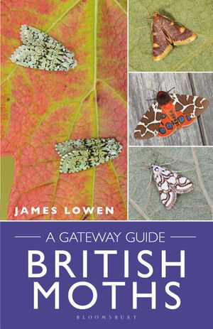 British Moths : A Gateway Guide - James Lowen