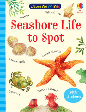 Mini Books Seashore Life to Spot : Usborne Minis - Sam Smith