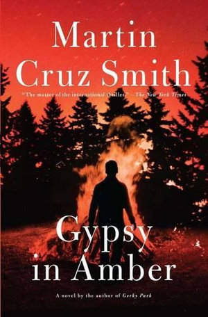 Gypsy in Amber : Roman Grey Novels - Martin Cruz Smith