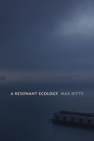 A Resonant Ecology : Sign, Storage, Transmission - Max Ritts