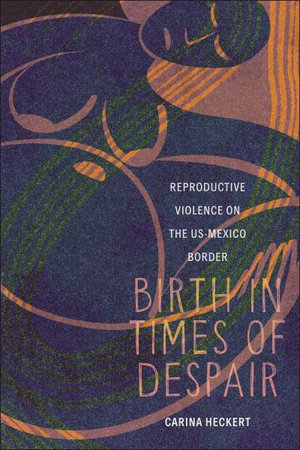 Birth in Times of Despair : Reproductive Violence on the US-Mexico Border - Carina Heckert