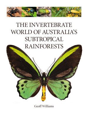 The Invertebrate World of Australia's  Subtropical Rainforests - Geoff Williams