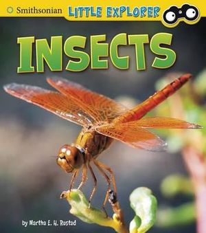 Insects : Smithsonian Little Explorer: Little Scientist - Martha E H Rustad