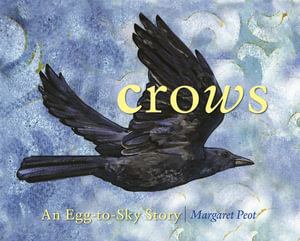 Crows : An Egg-To-Sky Story - Margaret Peot